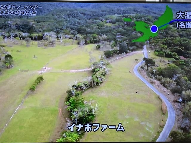 テレビ紹介画面_INAHO FARM