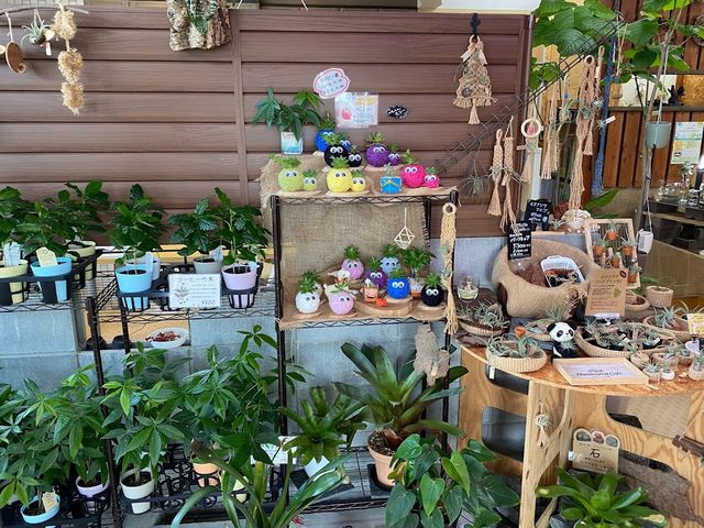 LL.K.植物診療SHOP
