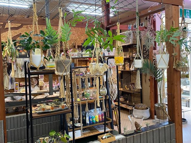 LL.K.植物診療SHOP