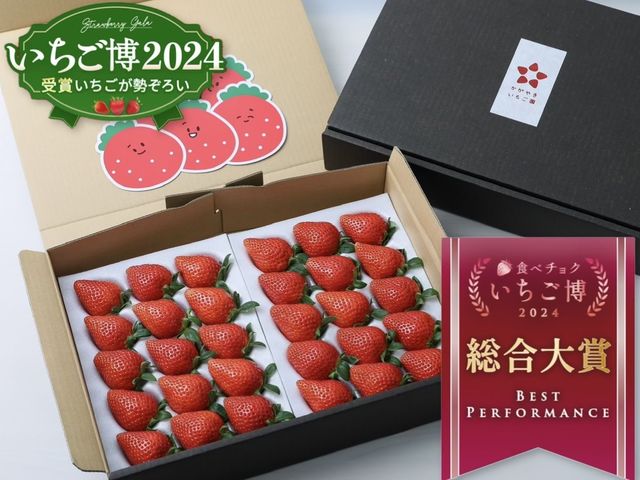 群馬県いちご品評会
金賞受賞やよいひめ_かがやきいちご園