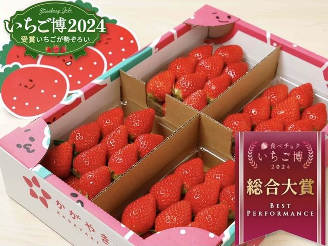 ご家庭用パックの販売まで_かがやきいちご園