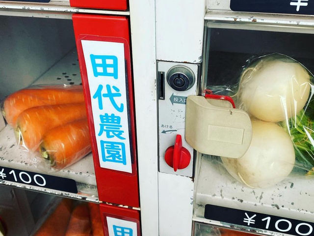 田代農園