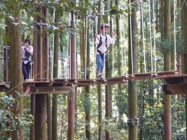 ボウケンノモリささぐり