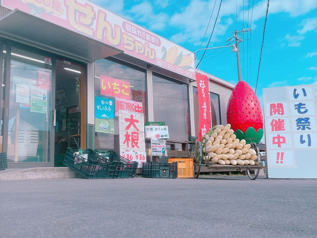 せんちゃんのいちご農園