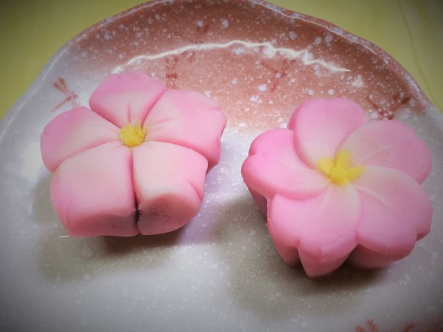 信州飯田の菓房 田月