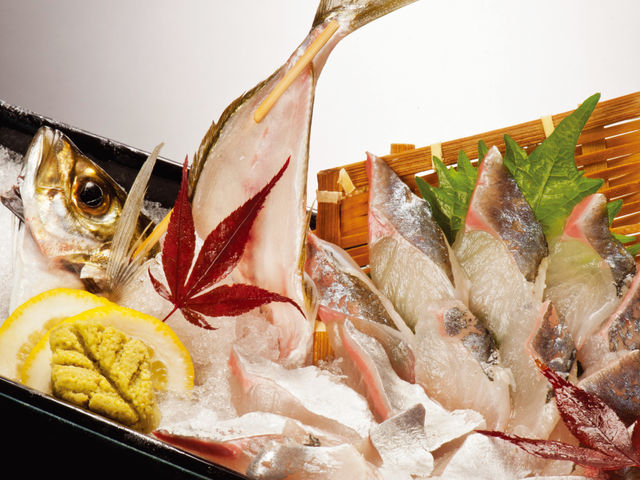 鯵のお造り_釣船茶屋 ざうお 所沢店