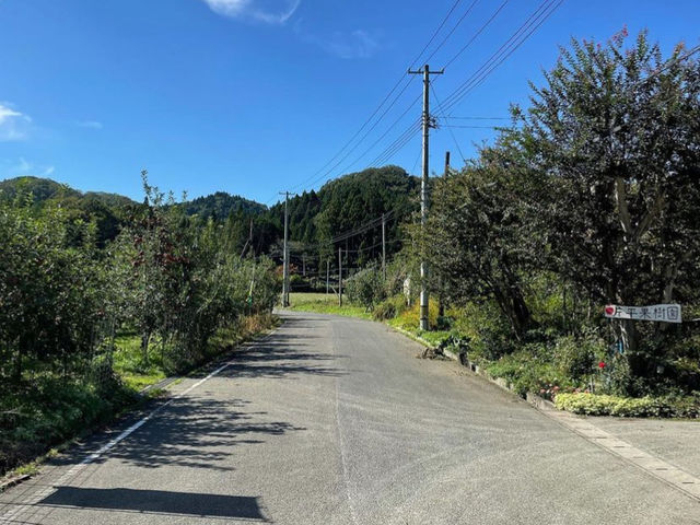 片平果樹園
