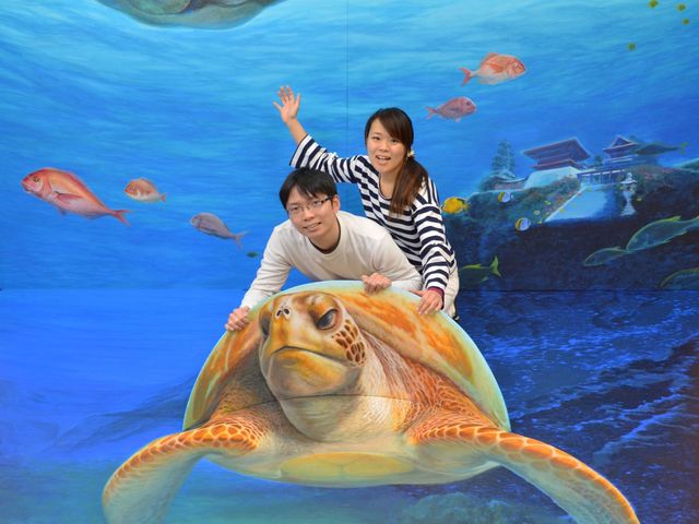 亀さんと海中散歩_伊豆トリックアート迷宮館