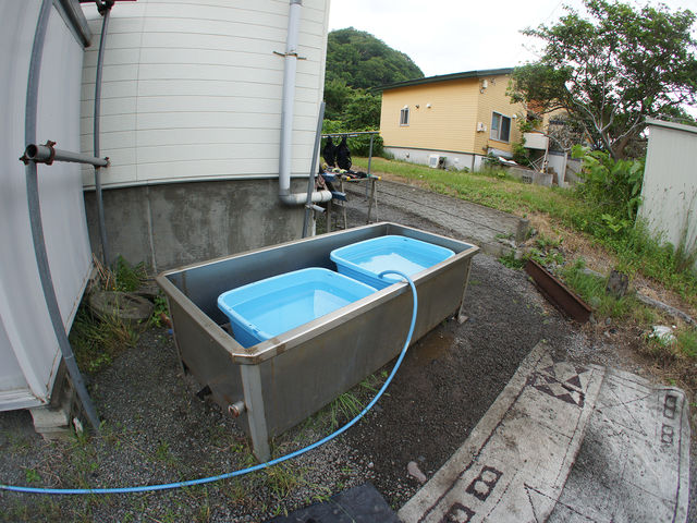 ダイビング後はしっかり器材を洗いましょ♪【器材洗い場完備】_スクーバダイビングサービス「アビイ」