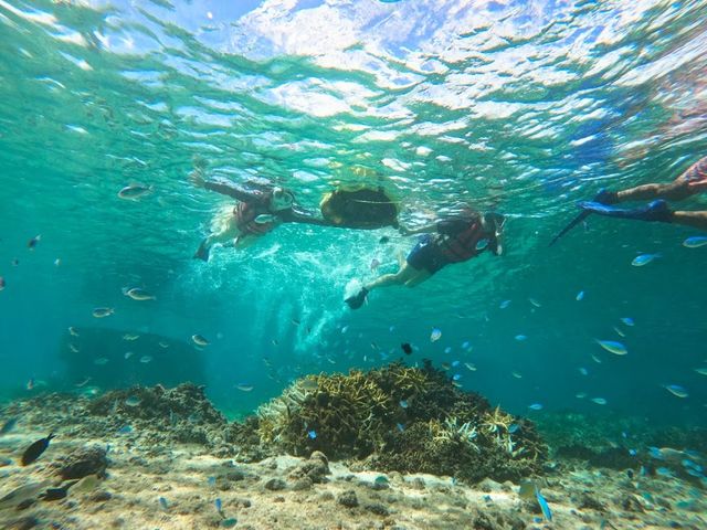 透明度の高い海の中
_aoomyahk