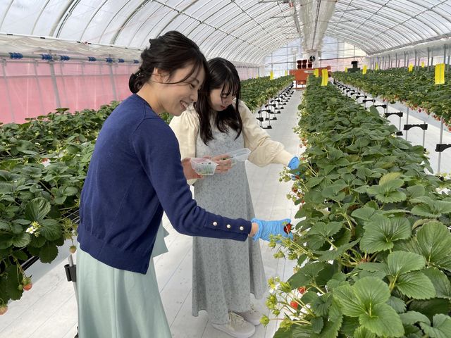 農事組合法人あるぺん村観光農園