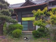 猫と過ごせる古民家カフェ そらまめの家の写真2