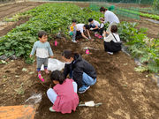 大澤農園の写真2