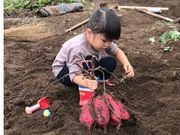 大澤農園の写真3