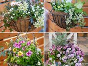 CUCU FLEURの写真2
