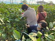 たっくんfarmの写真4
