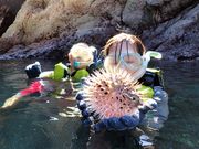 Goto Adventure Innの写真4