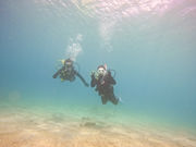 Leap Scuba Amamiの写真4