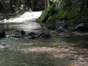 サウナンヤルケンの写真2