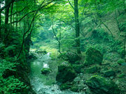 サウナンヤルケンの写真4