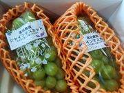 有田巨峰村 垣農園の写真3