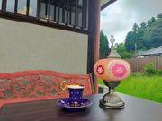 すのび(snow beach season)の写真2