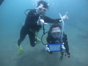 Dive-Yuzzuの写真4