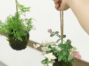 みどり屋 和草の写真3