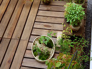 みどり屋 和草の写真4