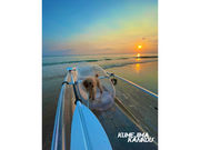 KUMEJIMA KANKOUの写真3