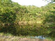 たさうらの写真3