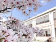 K's GARDEN〜handmade studio Momo〜の写真3