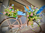 jill's gardenの写真4