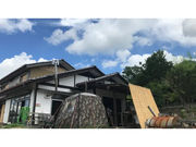 ムクムクの写真2