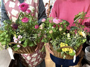 Biflam(ビフラム)の写真4