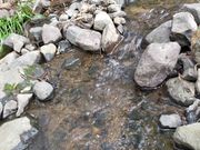 かぬまピッコロキャンプ場の写真4