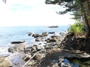AkazawaBay 海のキャンプ場の写真2
