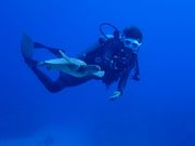 N2 ダイビングサービスの写真2