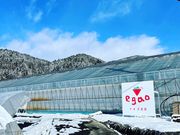 イチゴ農園egaoの写真2