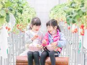 イチゴ農園egaoの写真3