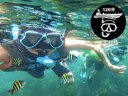 Seafari Japanの写真4