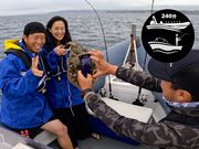 Seafari Japanの写真3
