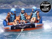 Seafari Japanの写真2