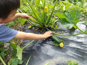 倉リ農園の写真4