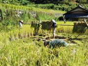 自然農自給自足体験民泊 土と和の写真3