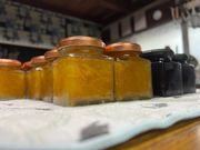 棚田ハウスの写真2