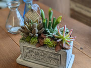 hana-zakka ksgreenの写真4