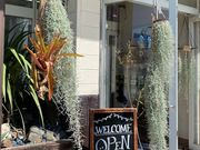 LL.K.植物診療SHOPの写真2