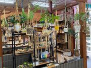 LL.K.植物診療SHOPの写真4