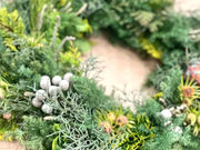 Atelier Plumeriaの写真4